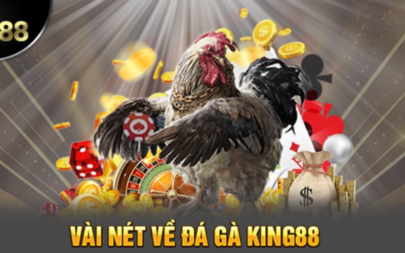 Đá gà King88 - Sảnh cược hàng đầu