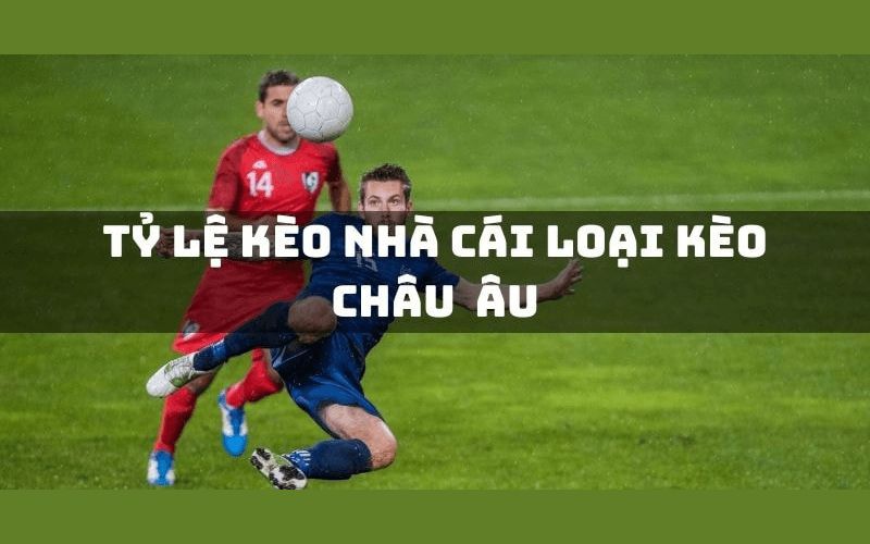 Tỷ lệ kèo bóng đá Châu Âu được hiểu là gì?